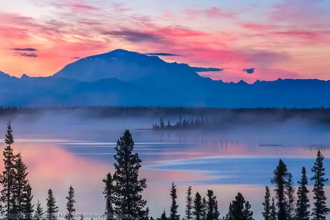 A misty lake at sunrise with soft pink clouds reflected in still water, evergreen trees along the far shore, and a broad blue mountain beyond